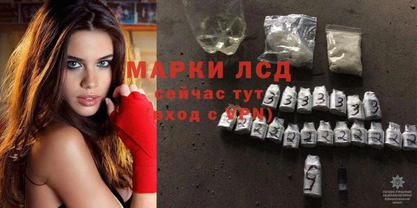 сатива Осинники