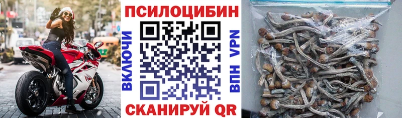 Галлюциногенные грибы Cubensis Павловский Посад