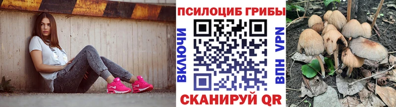 Псилоцибиновые грибы прущие грибы  Павловский Посад 