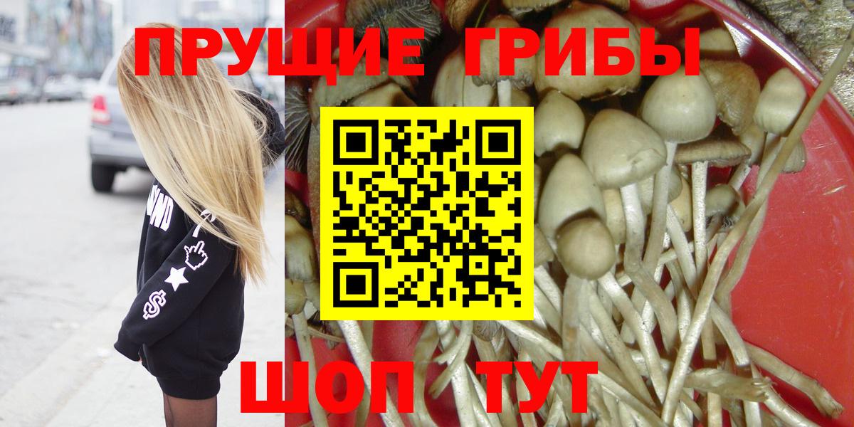 Псилоцибиновые грибы Cubensis  Вход с VPN  сколько стоит  Галлюциногенные грибы мицелий  Павловский Посад 